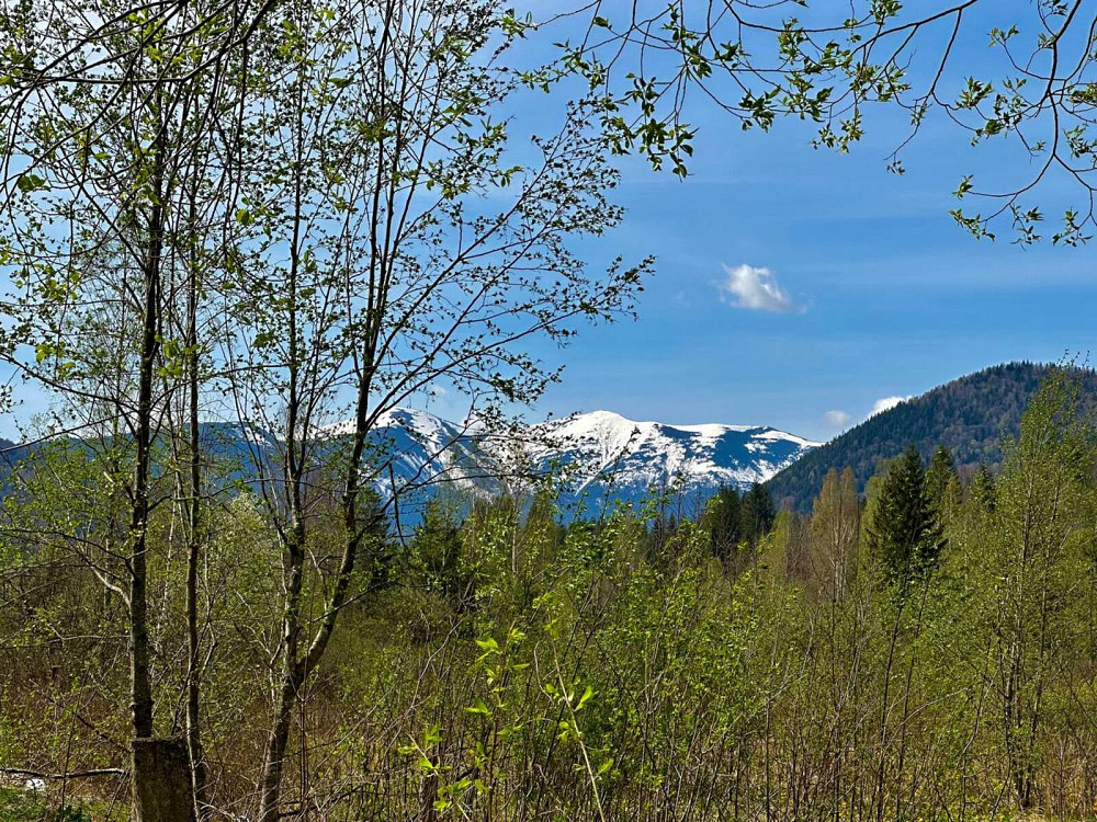 Продаж земельної ділянки 31 соток  - photo 2