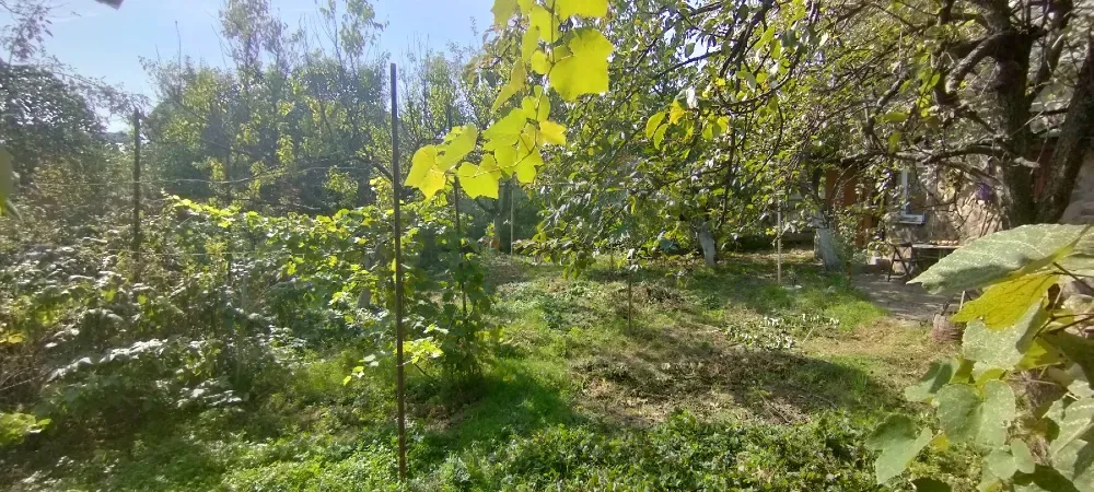 Продаж 1-поверховий Будинок з ділянкою 6 сот 75 кв.м 3 кімн. на Грушевського Ужгород - фото 6