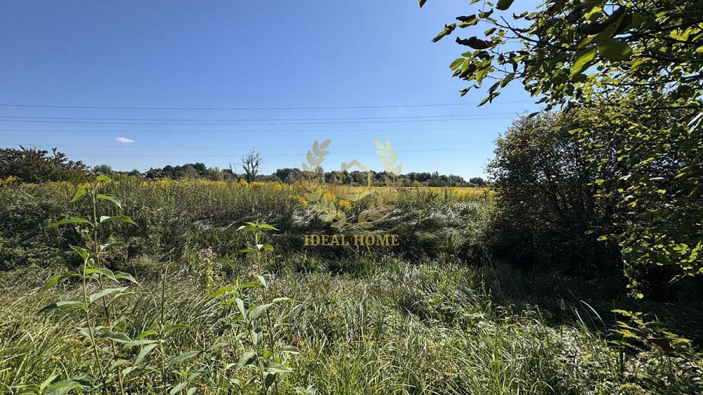 Продаж земельної ділянки 16.14 соток на Шевченко ул. Вільна Тарасівка - фото 4