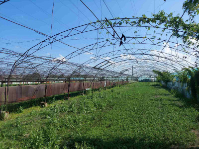 Продаж земельної ділянки 2 соток на дорога Нерубайское-Усатово, 2/2 Усатове - фото 5