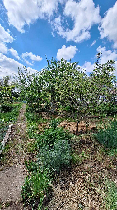 Продам летнюю дачу в пригороде Одессы , Малая Долина , кооп " Заря", вблизи озера. Молодіжне - фото 17