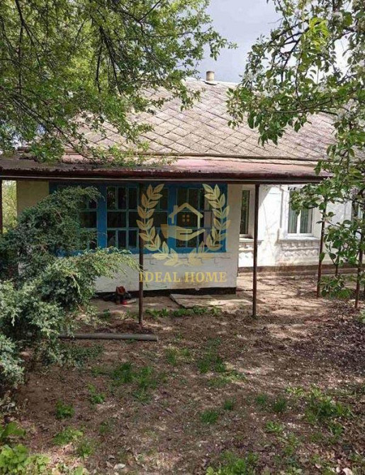 Продам будинок Київська область Білоцерківський р-н. с Медвин Медвин (Иванкивський район) - изображение 8