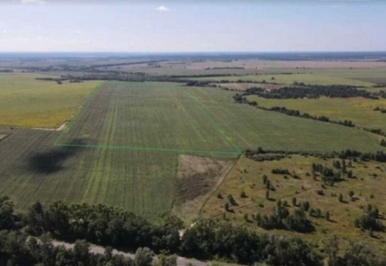 Продаж земельної ділянки під житлову забудову, площа 10 соток, Підгороднє Подгородное