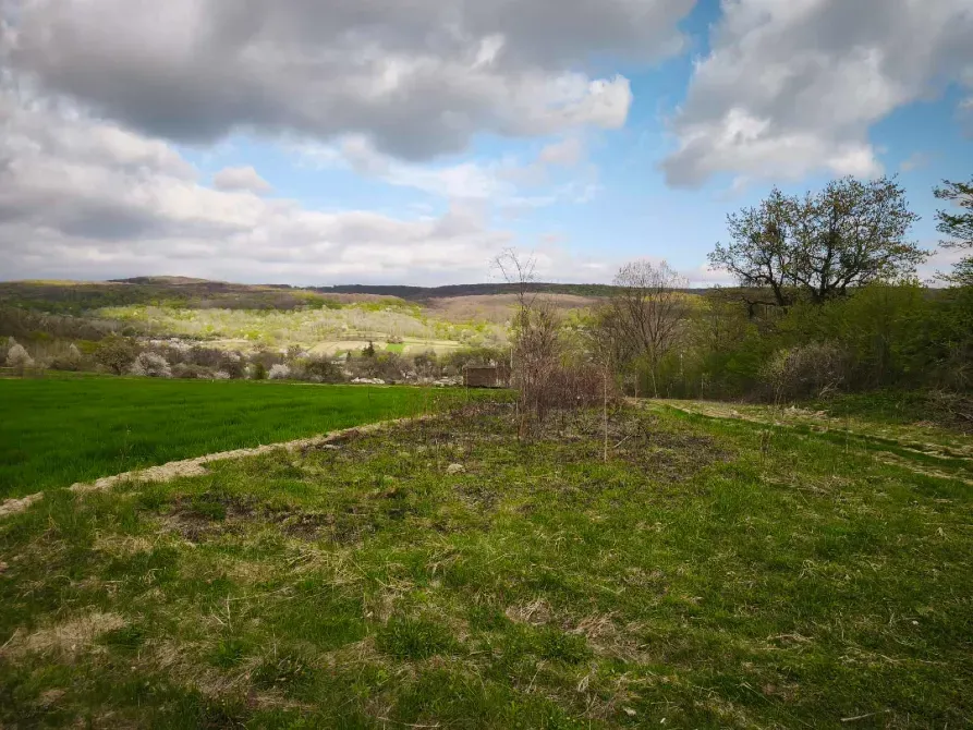 Продаж земельної ділянки Для будівництва приватного житлового будинку площа 20 сот Травнева Циганівці - фото 4