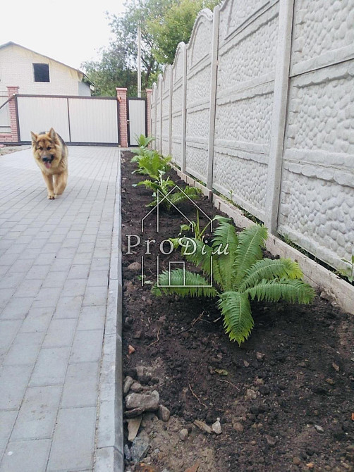 Продаж Будинок 4-кімнатний Осикове - изображение 13