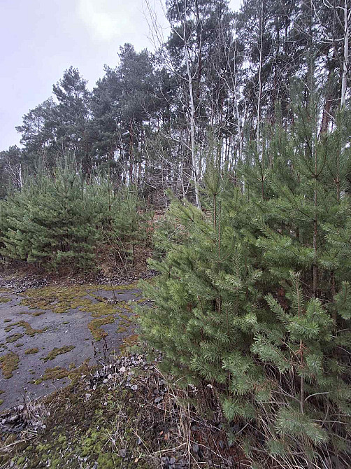 Продаж торгове приміщення на вул. Шосейна поверх - 3/3  - фото 7