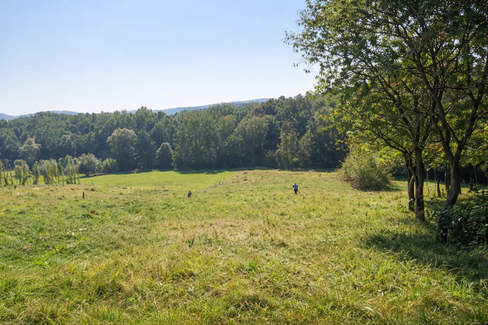 Продаж Будинок Verbovets - photo 4