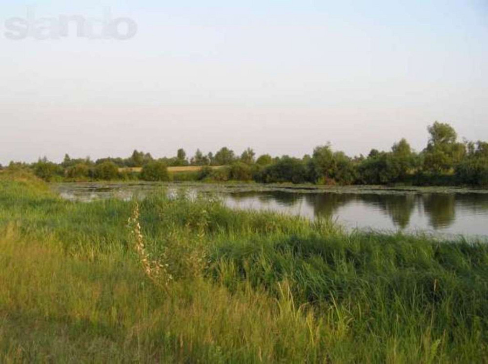 Продаж земельної ділянки 10 соток  - фото 4