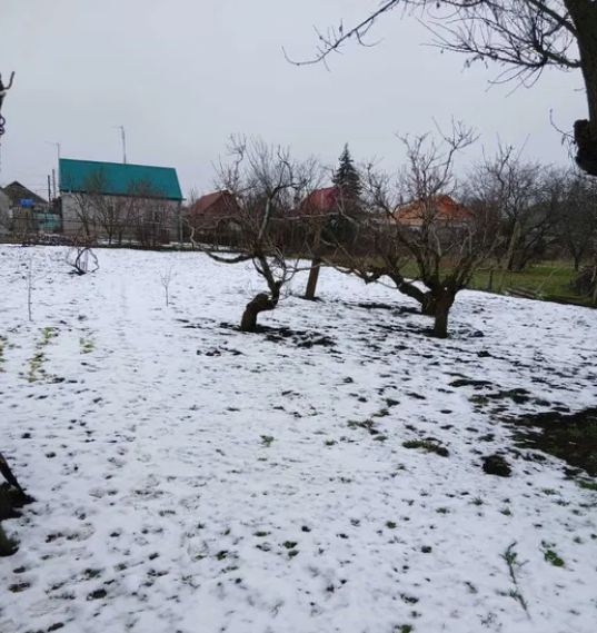 Продаж Будинок 3-кімнатний на ул. Виноградна, 5 Холодна Балка - изображение 12