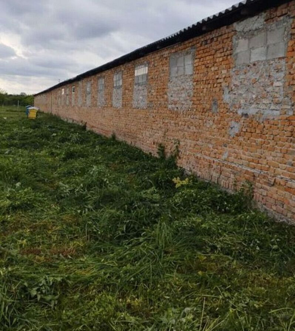 Продаж приміщення вільного призначення на Молодіжна вул., 1а поверх - 1/1 Плоске (Козивський район) - изображение 10