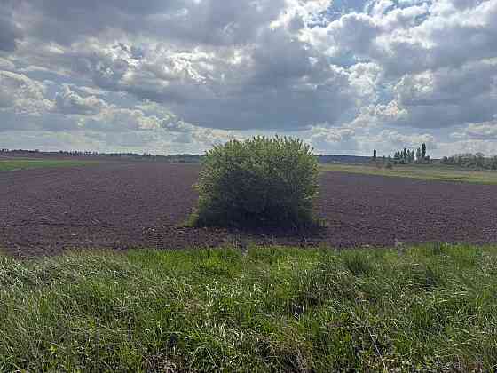 Продаж земельної ділянки 43.59 соток Чішки