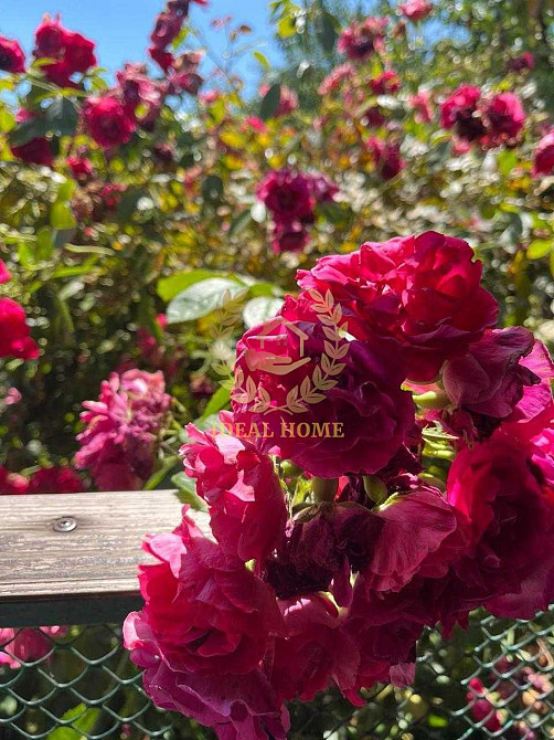 продам будинок в розалівці  - фото 12