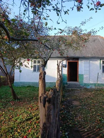 Продажа 1-этажный   39.9 кв.м 1 комн. на Незалежності вулиця 52  - изображение 16