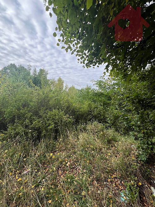 Продаж земельної ділянки 29.4 соток  - photo 5