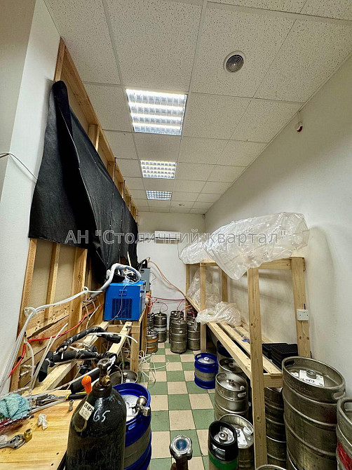 Оренда Будинок на Олени Пчілки вул., 2А Київ - фото 15