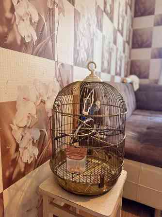 Продам трехкомнатную квартиру Малиновский район улица Маршала Бабаджаняна (Рекордная) Odessa