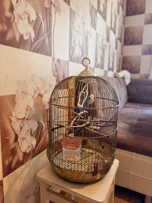 Продам трехкомнатную квартиру Малиновский район улица Маршала Бабаджаняна (Рекордная) Одесса - изображение 5