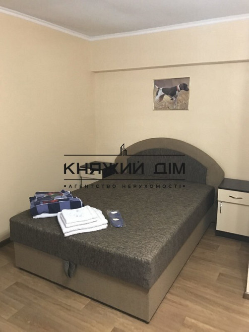 Оренда Квартира 1-кімнатна, 1/2 поверх на Пушкина ул. Kiev - photo 2