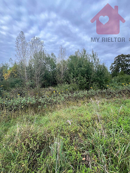 Продаж земельної ділянки 29.4 соток  - photo 8