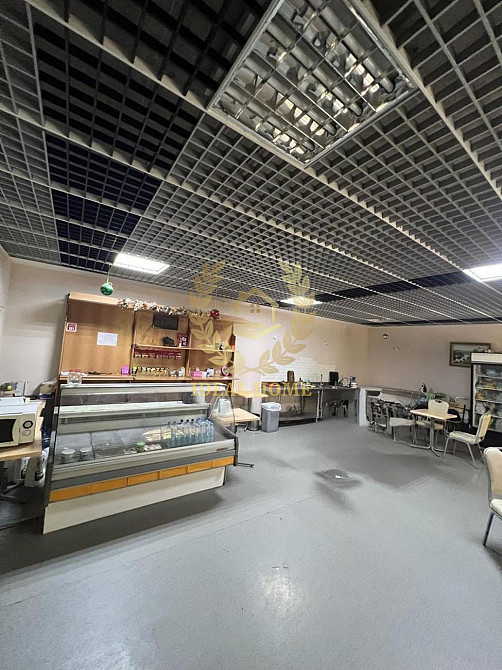 Продам домоволодіння в Петропавлівській Борщагівці  - фото 8