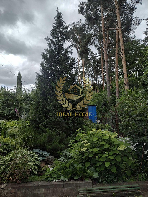 "Продам дачний будинок біля Мотовилівської Слобідки"  - фото 10