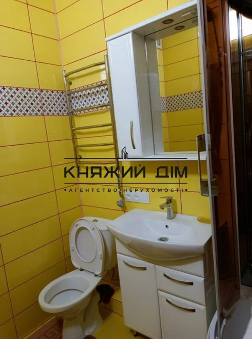 Оренда Квартира 1-кімнатна, 2/26 поверх на Каменская ул. Kiev - photo 8