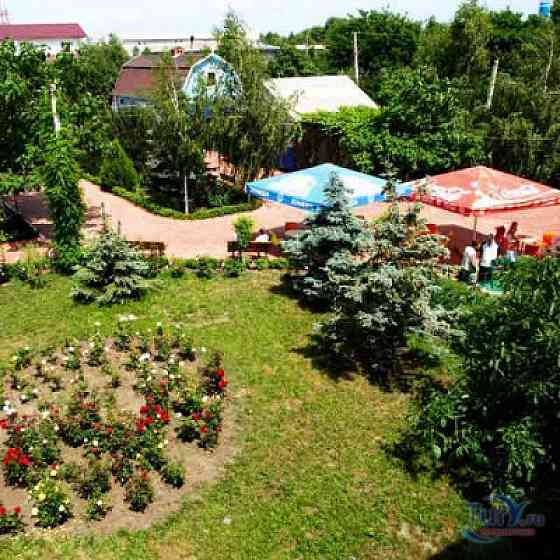 улица Польова Грибівка