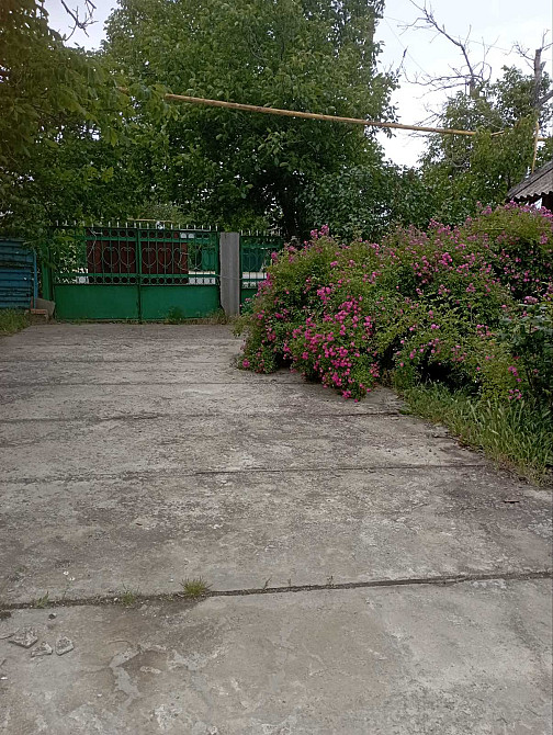 Продам дом в с.Розалевка (Роздельнянский р-н) Розалівка (Котовський район) - фото 10