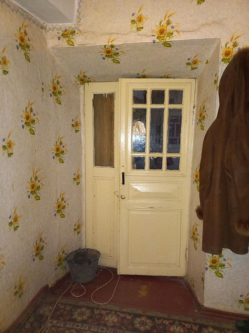 Продам дом в Троицком Новотроїцьке (Любашівський район) - фото 4