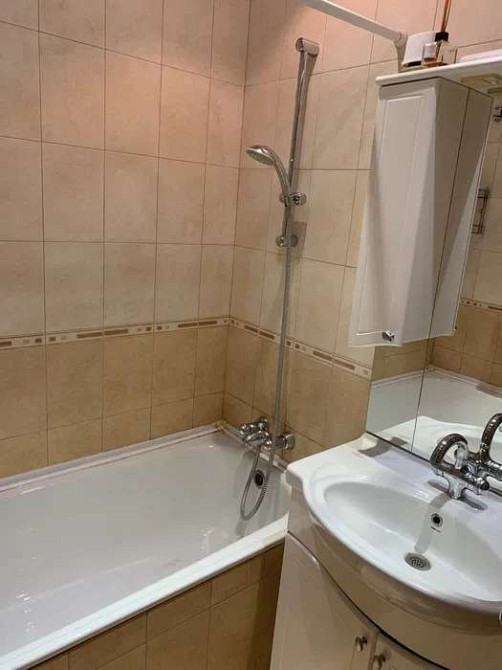 Оренда Квартира 1-кімнатна, 10/18 поверх на ул. Соломии Крушельницкой Киев - изображение 5