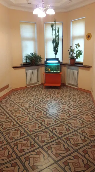 Продам 3-х этажный дом в Лесках Ліски (Комінтернівський район) - фото 9