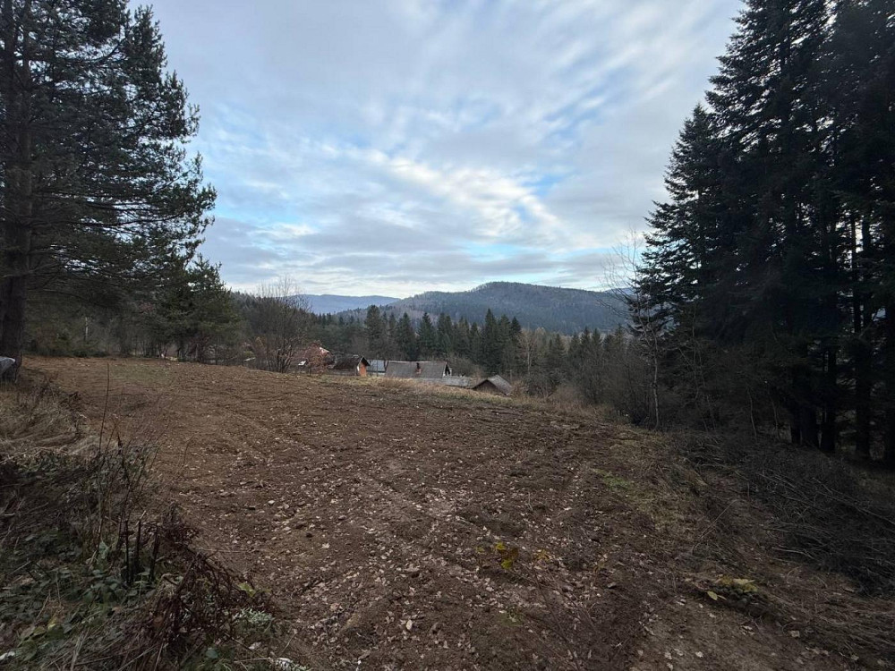 Продаж земельної ділянки 10 соток на вул. лісна Сколе - фото 9