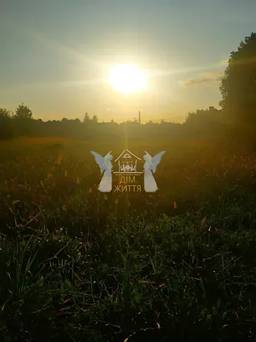 Продажа земельного участка  площадь 18.5 сот Камінна вулиця 3  - изображение 6