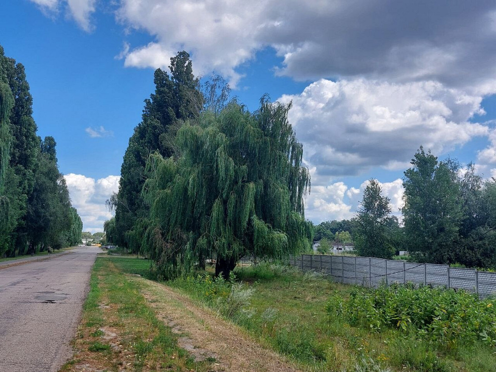 Оренда виробниче приміщення на улица Выставочная, д.1 поверх - 1/1  - изображение 5