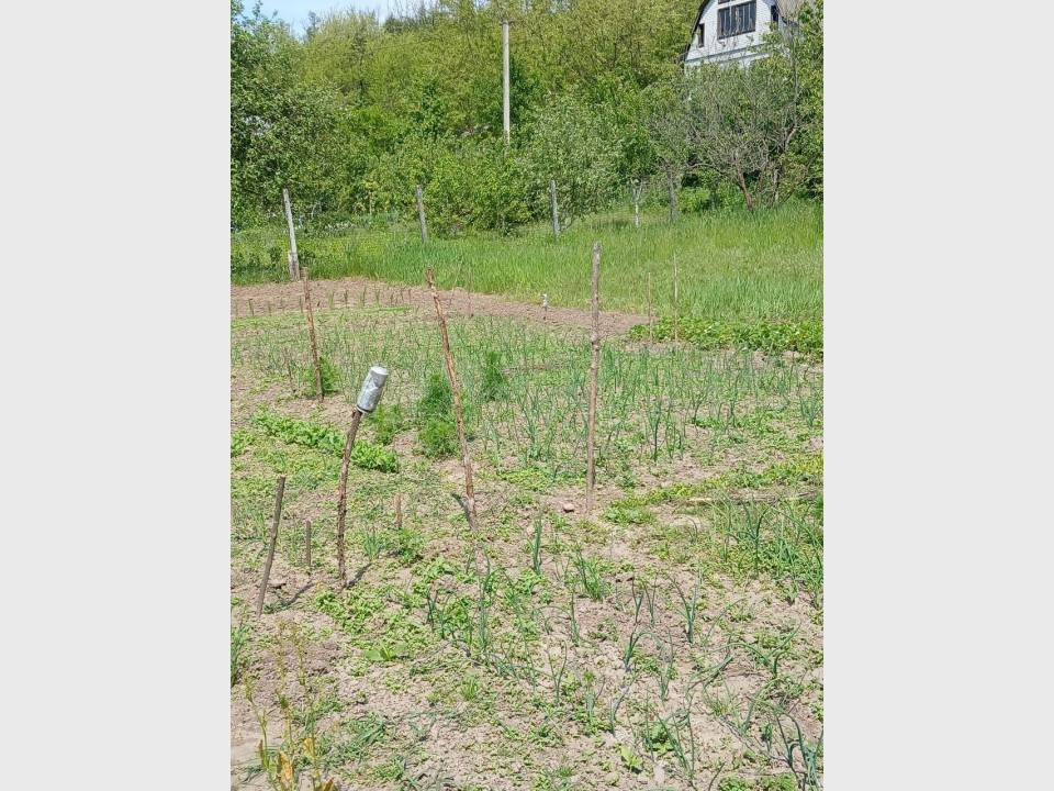 Продаж 1-поверховий Дача  45 кв.м 2 кімн. на вул. Броварська, Деньги - фото 6