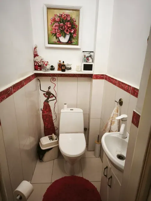 For sale 2-storey House with land 12 ares 293 sq.m 7+ rooms at Володимирська Uzhhorod - photo 15