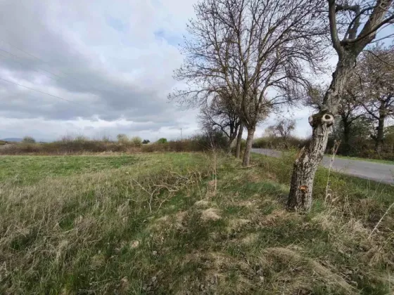 Продаж земельної ділянки Для будівництва приватного житлового будинку площа 7 сот Вільхова Ужгород