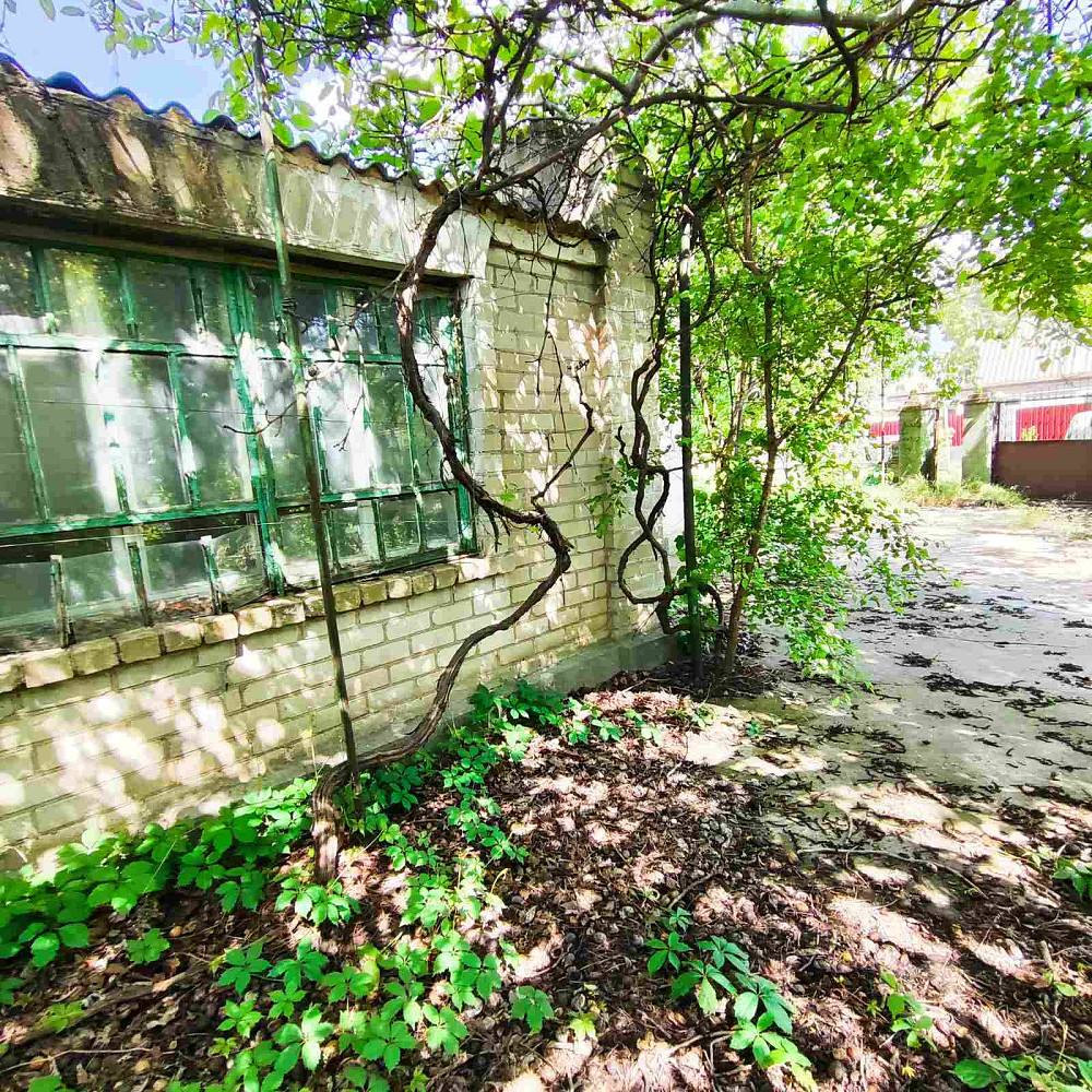 Продам дом в с. Нерубайское. Нерубайське - фото 2