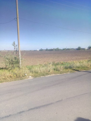 Продаж земельної ділянки 0.2 соток на ул. Радостная, 8 Дачне - фото 3