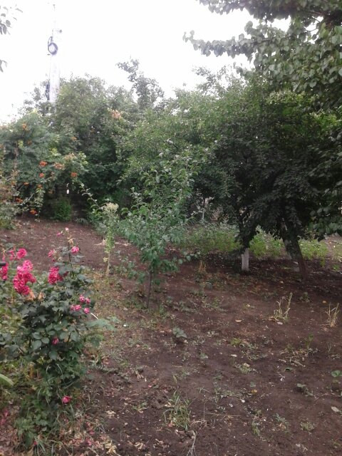 Продаж земельної ділянки 0.2 соток на ул. Профессора Коровицкого, 13 Одеса - фото 1