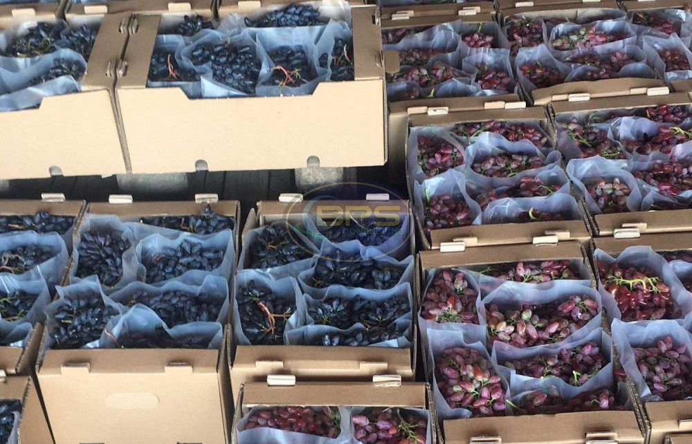 Продаж земельної ділянки 7.72 га на вул. 1 Овідіополь - фото 16