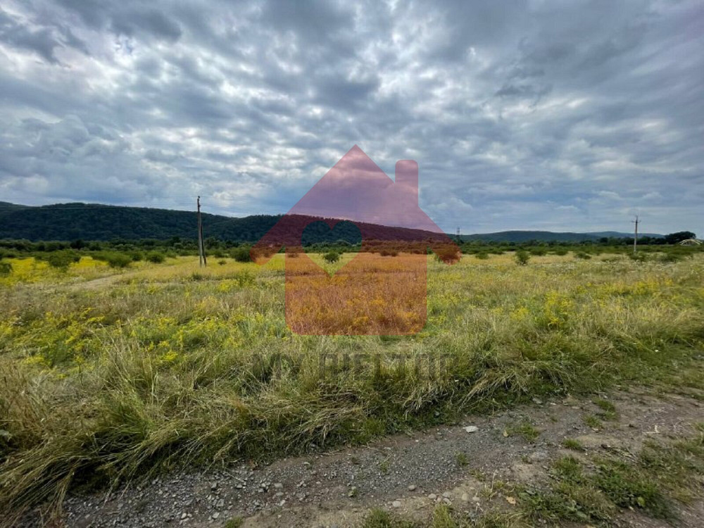 Продаж земельної ділянки 0 соток на Невицьке  - photo 2