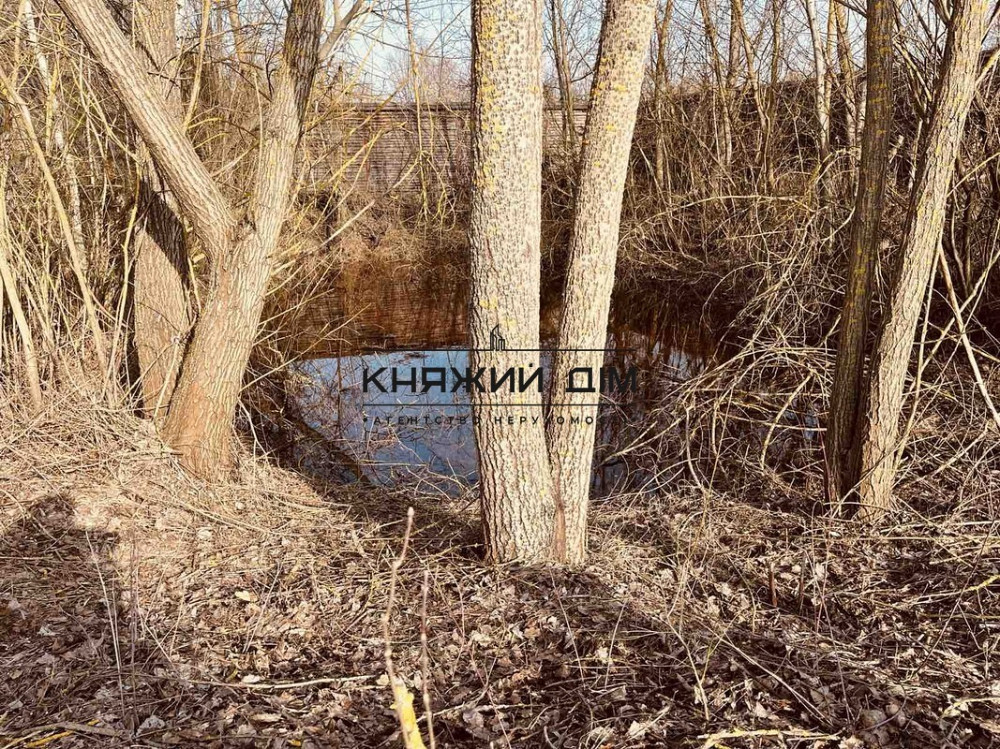 Продаж земельної ділянки 43 соток на вул. Кодівська Protsiv - photo 12