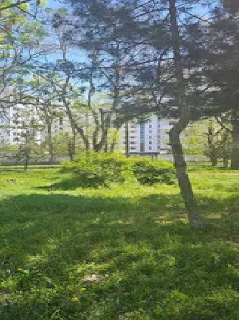 Однокомнатная квартира в ЖК Алексеевский Odessa - photo 12