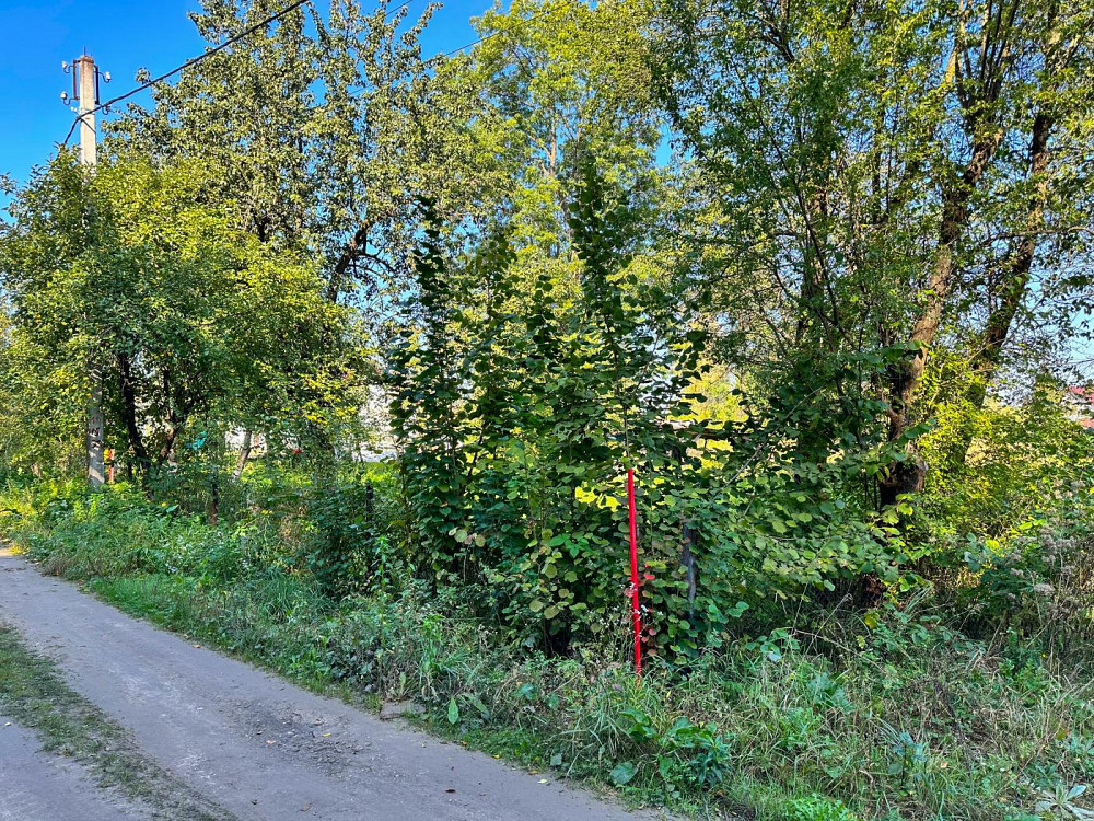 Продаж Квартира на улица Лісова 3  - изображение 9