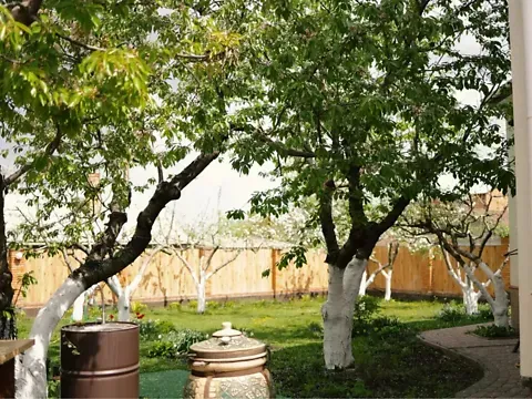 Продажа 2-этажный   240 кв.м 4 комн. на Ярошенка вулиця 9 Кропивницкий - изображение 15