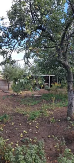 Продам дом с газом и удобствами в Светлом (Старые дачи, 5 км от Одессы) Світле - фото 12