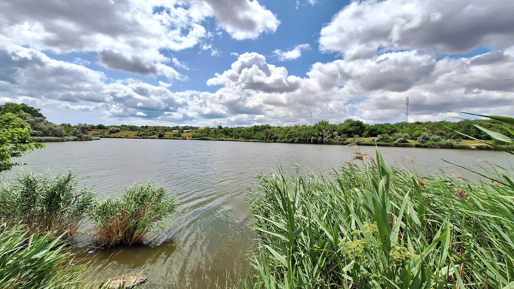 Продам дачу вблизи озера Малая Долина кооп "Заря" Молодіжне - фото 11