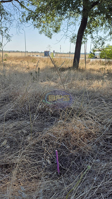 Продаж земельної ділянки 3.64 га Прилиманське - фото 7