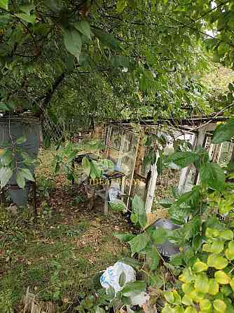 Продам будинок Кренечі Krenychi